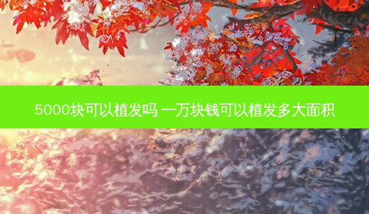 5000块可以植发吗 一万块钱可以植发多大面积-第1张图片-南山整形网 5000块可以植发吗 一万块钱可以植发多大面积-第1张图片-南山整形网
