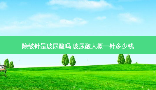 除皱针是玻尿酸吗 玻尿酸大概一针多少钱-第1张图片-南山整形网 除皱针是玻尿酸吗 玻尿酸大概一针多少钱-第1张图片-南山整形网
