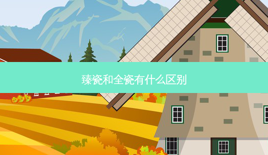 臻瓷和全瓷有什么区别-第1张图片-南山整形网 臻瓷和全瓷有什么区别-第1张图片-南山整形网