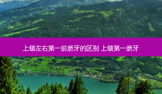 上颌左右之一前磨牙的区别 上颌之一磨牙-第1张图片-南山整形网