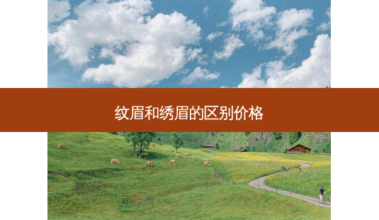 纹眉和绣眉的区别价格-第1张图片-南山整形网 纹眉和绣眉的区别价格-第1张图片-南山整形网
