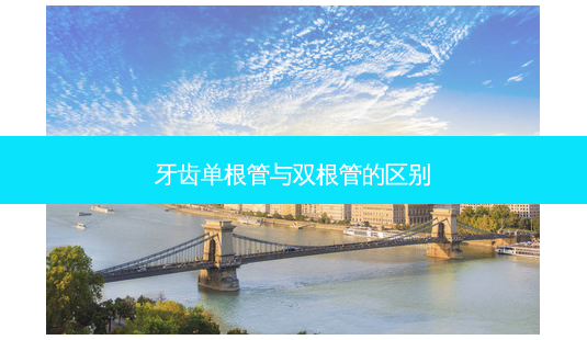 牙齿单根管与双根管的区别-第1张图片-南山整形网 牙齿单根管与双根管的区别-第1张图片-南山整形网