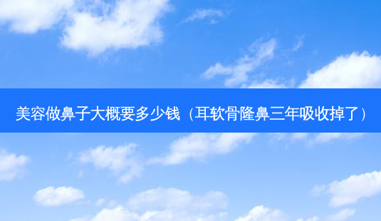 美容做鼻子大概要多少钱(耳软骨隆鼻三年吸收掉了)-第1张图片-南山整形网 美容做鼻子大概要多少钱(耳软骨隆鼻三年吸收掉了)-第1张图片-南山整形网