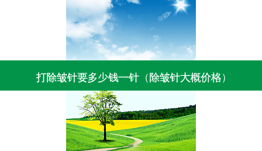 打除皱针要多少钱一针(除皱针大概价格)-第1张图片-南山整形网 打除皱针要多少钱一针(除皱针大概价格)-第1张图片-南山整形网