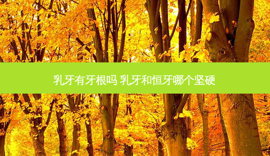 乳牙有牙根吗 乳牙和恒牙哪个坚硬-第1张图片-南山整形网 乳牙有牙根吗 乳牙和恒牙哪个坚硬-第1张图片-南山整形网
