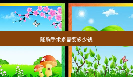 隆胸手术多需要多少钱-第1张图片-南山整形网 隆胸手术多需要多少钱-第1张图片-南山整形网