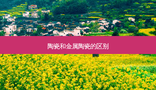 陶瓷和金属陶瓷的区别-第1张图片-南山整形网 陶瓷和金属陶瓷的区别-第1张图片-南山整形网