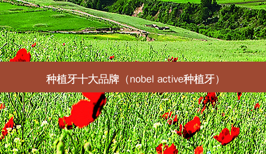 种植牙十大品牌(nobel active种植牙)-第1张图片-南山整形网 种植牙十大品牌(nobel active种植牙)-第1张图片-南山整形网