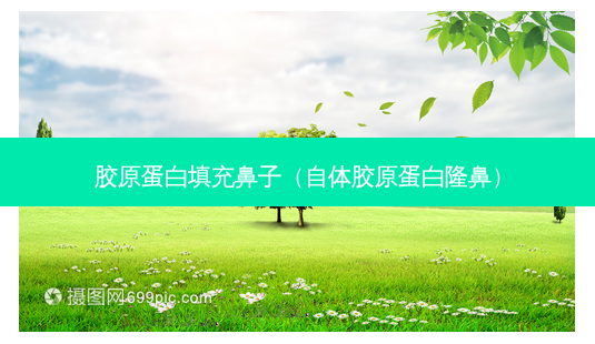 胶原蛋白填充鼻子(自体胶原蛋白隆鼻)-第1张图片-南山整形网 胶原蛋白填充鼻子(自体胶原蛋白隆鼻)-第1张图片-南山整形网