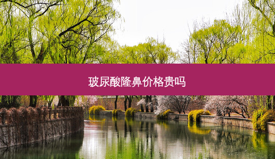 玻尿酸隆鼻价格贵吗-第1张图片-南山整形网 玻尿酸隆鼻价格贵吗-第1张图片-南山整形网