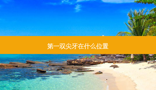 之一双尖牙在什么位置-第1张图片-南山整形网 之一双尖牙在什么位置-第1张图片-南山整形网