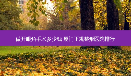 做开眼角手术多少钱 厦门正规整形医院排行-第1张图片-南山整形网 做开眼角手术多少钱 厦门正规整形医院排行-第1张图片-南山整形网