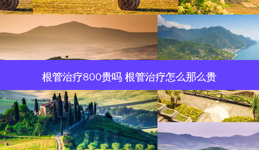 根管治疗800贵吗 根管治疗怎么那么贵-第1张图片-南山整形网 根管治疗800贵吗 根管治疗怎么那么贵-第1张图片-南山整形网