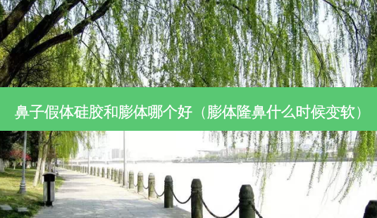 鼻子假体硅胶和膨体哪个好(膨体隆鼻什么时候变软)-第1张图片-南山整形网 鼻子假体硅胶和膨体哪个好(膨体隆鼻什么时候变软)-第1张图片-南山整形网