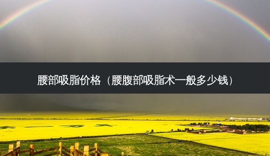 腰部吸脂价格(腰腹部吸脂术一般多少钱)-第1张图片-南山整形网 腰部吸脂价格(腰腹部吸脂术一般多少钱)-第1张图片-南山整形网