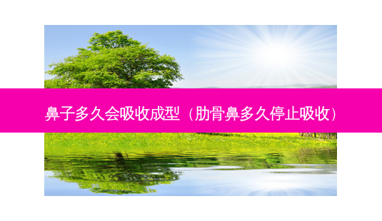 鼻子多久会吸收成型(肋骨鼻多久停止吸收)-第1张图片-南山整形网 鼻子多久会吸收成型(肋骨鼻多久停止吸收)-第1张图片-南山整形网