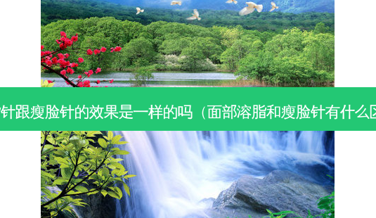 溶脂针跟瘦脸针的效果是一样的吗(面部溶脂和瘦脸针有什么区别)-第1张图片-南山整形网 溶脂针跟瘦脸针的效果是一样的吗(面部溶脂和瘦脸针有什么区别)-第1张图片-南山整形网
