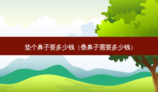 垫个鼻子要多少钱(叠鼻子需要多少钱)-第1张图片-南山整形网 垫个鼻子要多少钱(叠鼻子需要多少钱)-第1张图片-南山整形网