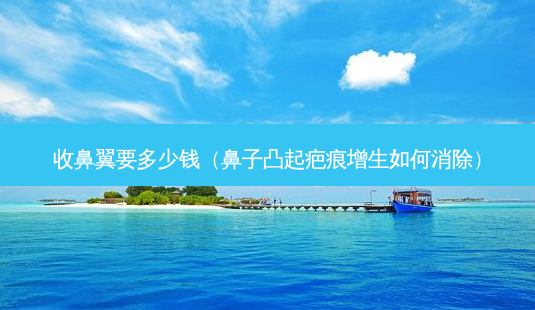 收鼻翼要多少钱(鼻子凸起疤痕增生如何消除)-第1张图片-南山整形网 收鼻翼要多少钱(鼻子凸起疤痕增生如何消除)-第1张图片-南山整形网