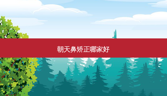朝天鼻矫正哪家好-第1张图片-南山整形网 朝天鼻矫正哪家好-第1张图片-南山整形网