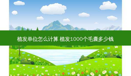 植发单位怎么计算 植发1000个毛囊多少钱-第1张图片-南山整形网 植发单位怎么计算 植发1000个毛囊多少钱-第1张图片-南山整形网