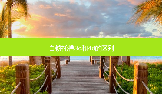 自锁托槽3d和4d的区别-第1张图片-南山整形网 自锁托槽3d和4d的区别-第1张图片-南山整形网