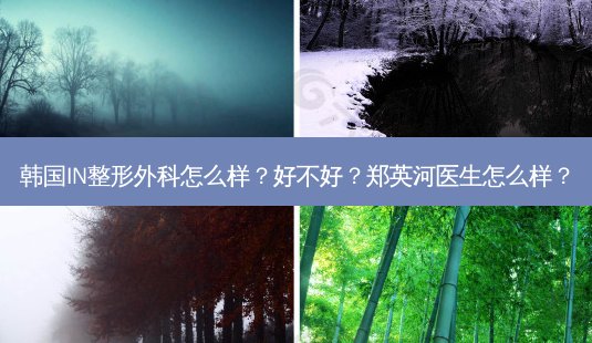 韩国IN整形外科怎么样?好不好?郑英河医生怎么样?-第1张图片-南山整形网 韩国IN整形外科怎么样?好不好?郑英河医生怎么样?-第1张图片-南山整形网