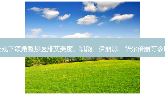 西安正规下颌角整形医排艾美度、凯韵、伊丽源、华尔倍丽等诊所评比-第1张图片-南山整形网 西安正规下颌角整形医排艾美度、凯韵、伊丽源、华尔倍丽等诊所评比-第1张图片-南山整形网