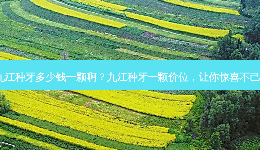 九江种牙多少钱一颗啊?九江种牙一颗价位,让你惊喜不已!-第1张图片-南山整形网 九江种牙多少钱一颗啊?九江种牙一颗价位,让你惊喜不已!-第1张图片-南山整形网