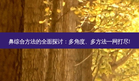 鼻综合 *** 的全面探讨:多角度、多 *** 一网打尽!-第1张图片-南山整形网 鼻综合 *** 的全面探讨:多角度、多 *** 一网打尽!-第1张图片-南山整形网