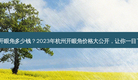 杭州开眼角多少钱?2023年杭州开眼角价格大公开,让你一目了然!-第1张图片-南山整形网 杭州开眼角多少钱?2023年杭州开眼角价格大公开,让你一目了然!-第1张图片-南山整形网