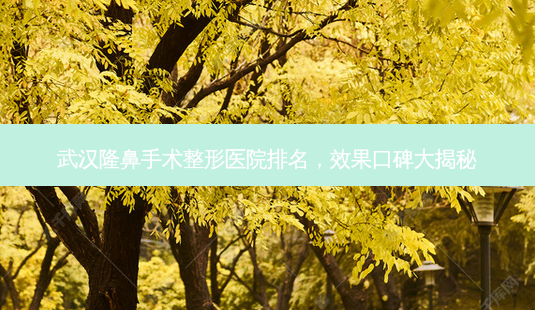武汉隆鼻手术整形医院排名,效果口碑大揭秘-第1张图片-南山整形网 武汉隆鼻手术整形医院排名,效果口碑大揭秘-第1张图片-南山整形网