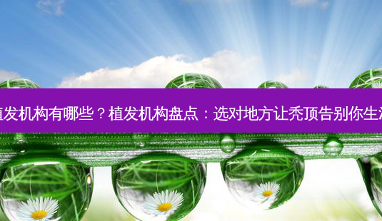 植发机构有哪些?植发机构盘点:选对地方让秃顶告别你生活-第1张图片-南山整形网 植发机构有哪些?植发机构盘点:选对地方让秃顶告别你生活-第1张图片-南山整形网