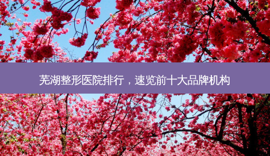 芜湖整形医院排行,速览前十大品牌机构-第1张图片-南山整形网 芜湖整形医院排行,速览前十大品牌机构-第1张图片-南山整形网