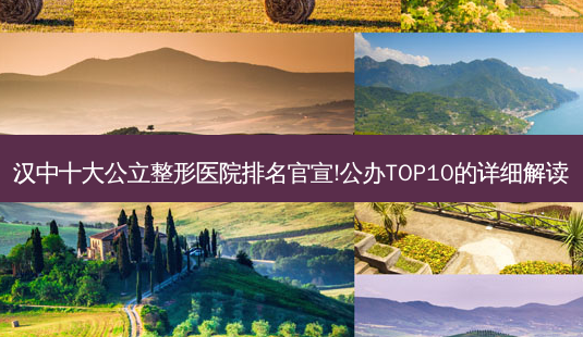 汉中十大公立整形医院排名官宣!公办TOP10的详细解读-第1张图片-南山整形网 汉中十大公立整形医院排名官宣!公办TOP10的详细解读-第1张图片-南山整形网