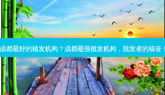 成都 *** 的植发机构?成都最强植发机构,脱发者的福音!-第1张图片-南山整形网 成都 *** 的植发机构?成都最强植发机构,脱发者的福音!-第1张图片-南山整形网