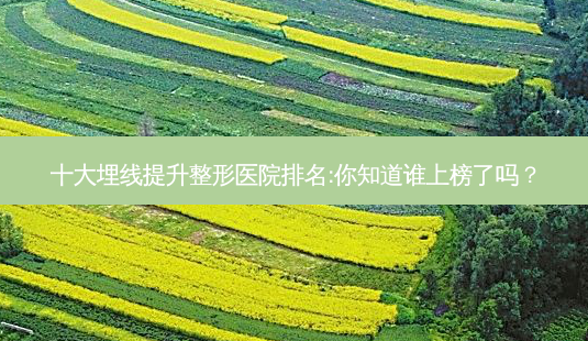 十大埋线提升整形医院排名:你知道谁上榜了吗?-第1张图片-南山整形网 十大埋线提升整形医院排名:你知道谁上榜了吗?-第1张图片-南山整形网