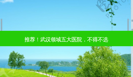 推荐!武汉领域五大医院,不得不选-第1张图片-南山整形网 推荐!武汉领域五大医院,不得不选-第1张图片-南山整形网