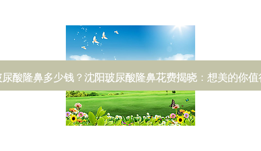 沈阳玻尿酸隆鼻多少钱?沈阳玻尿酸隆鼻花费揭晓:想美的你值得了解-第1张图片-南山整形网 沈阳玻尿酸隆鼻多少钱?沈阳玻尿酸隆鼻花费揭晓:想美的你值得了解-第1张图片-南山整形网