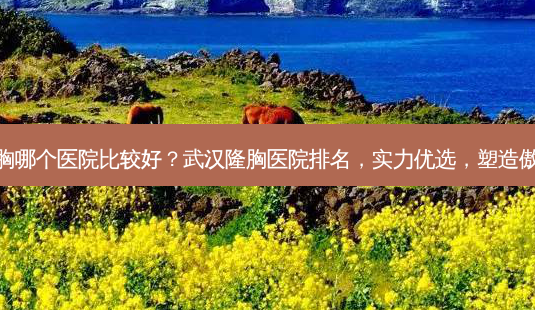 武汉隆胸哪个医院比较好?武汉隆胸医院排名,实力优选,塑造傲人曲线-第1张图片-南山整形网 武汉隆胸哪个医院比较好?武汉隆胸医院排名,实力优选,塑造傲人曲线-第1张图片-南山整形网