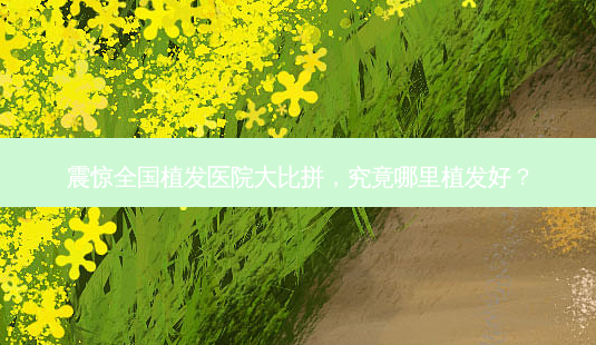 震惊全国植发医院大比拼,究竟哪里植发好?-第1张图片-南山整形网 震惊全国植发医院大比拼,究竟哪里植发好?-第1张图片-南山整形网
