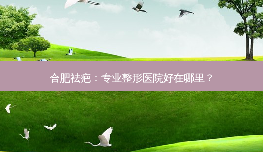 合肥祛疤:专业整形医院好在哪里?-第1张图片-南山整形网 合肥祛疤:专业整形医院好在哪里?-第1张图片-南山整形网