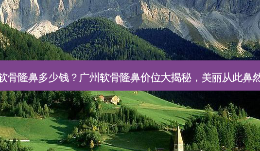 广州软骨隆鼻多少钱?广州软骨隆鼻价位大揭秘,美丽从此鼻然不同-第1张图片-南山整形网 广州软骨隆鼻多少钱?广州软骨隆鼻价位大揭秘,美丽从此鼻然不同-第1张图片-南山整形网