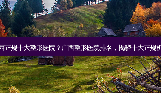 广西正规十大整形医院?广西整形医院排名,揭晓十大正规机构-第1张图片-南山整形网 广西正规十大整形医院?广西整形医院排名,揭晓十大正规机构-第1张图片-南山整形网