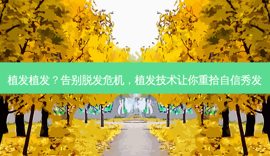 植发植发?告别脱发危机,植发技术让你重拾自信秀发-第1张图片-南山整形网 植发植发?告别脱发危机,植发技术让你重拾自信秀发-第1张图片-南山整形网