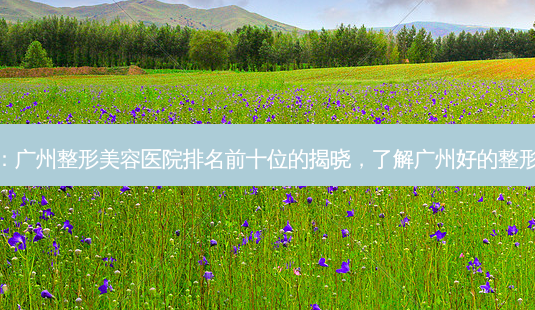 精选传闻:广州整形美容医院排名前十位的揭晓,了解广州好的整形医院之选-第1张图片-南山整形网 精选传闻:广州整形美容医院排名前十位的揭晓,了解广州好的整形医院之选-第1张图片-南山整形网