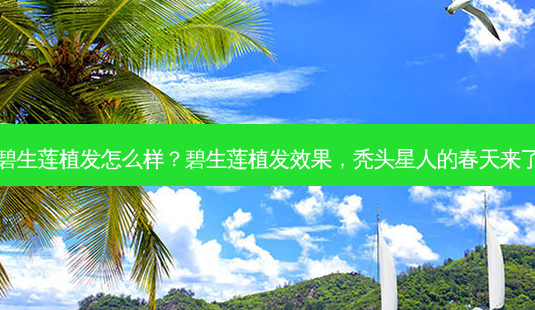 碧生莲植发怎么样?碧生莲植发效果,秃头星人的春天来了-第1张图片-南山整形网 碧生莲植发怎么样?碧生莲植发效果,秃头星人的春天来了-第1张图片-南山整形网