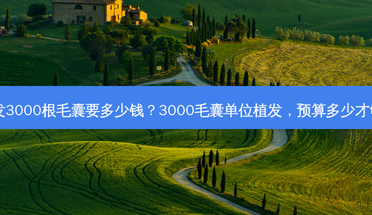 植发3000根毛囊要多少钱?3000毛囊单位植发,预算多少才够?-第1张图片-南山整形网 植发3000根毛囊要多少钱?3000毛囊单位植发,预算多少才够?-第1张图片-南山整形网