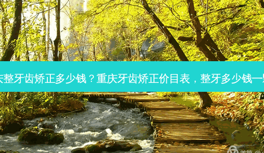 重庆整牙齿矫正多少钱?重庆牙齿矫正价目表,整牙多少钱一颗?-第1张图片-南山整形网 重庆整牙齿矫正多少钱?重庆牙齿矫正价目表,整牙多少钱一颗?-第1张图片-南山整形网