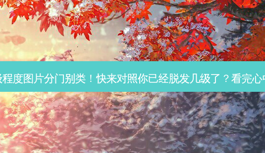 脱发1-7级程度图片分门别类!快来对照你已经脱发几级了?看完心中有数了~-第1张图片-南山整形网 脱发1-7级程度图片分门别类!快来对照你已经脱发几级了?看完心中有数了~-第1张图片-南山整形网